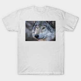 Timber Wolf Portrait T-Shirt